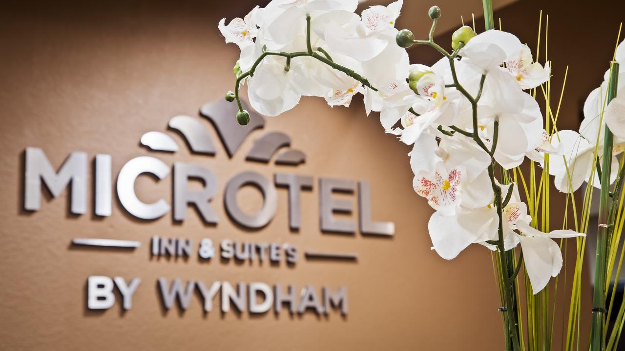 Microtel Inn & Suites By Wyndham ראונד רוק מראה חיצוני תמונה